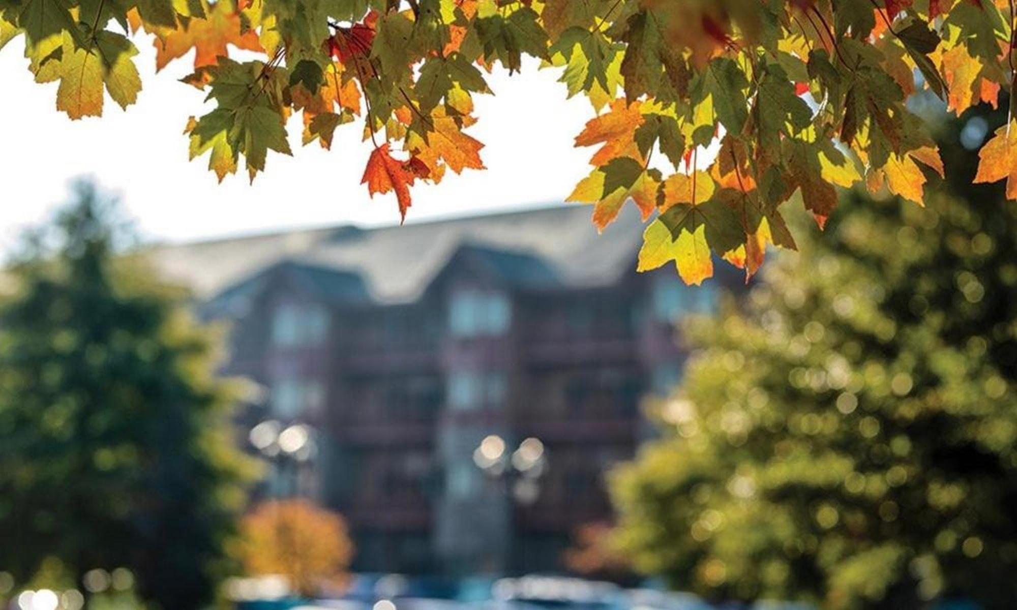 Great Smokies Lodge Sevierville By Hellovacay Ngoại thất bức ảnh
